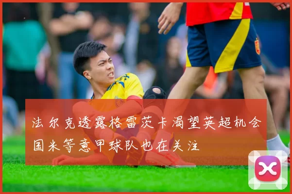 法尔克透露格雷茨卡渴望英超机会国米等意甲球队也在关注